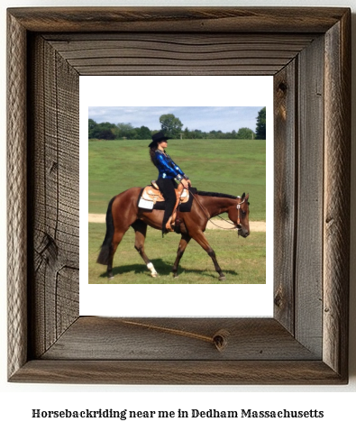 horseback riding near me in Dedham, Massachusetts